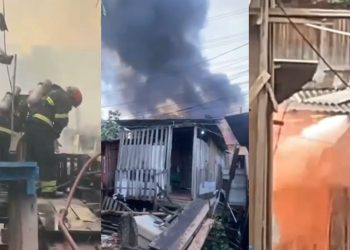 Cadela morre carbonizada em incêndio que destruiu 5 casas em Manaus