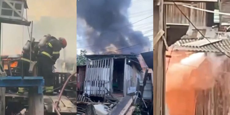 Cadela morre carbonizada em incêndio que destruiu 5 casas em Manaus