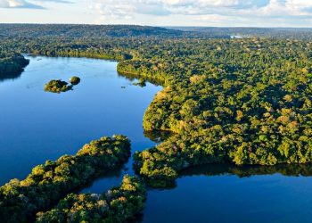 Desmatamento na Amazônia cai 11% e atinge o 3º menor nível histórico