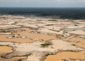 Emmanuel Macron elogia Lula pela defesa da Amazônia
