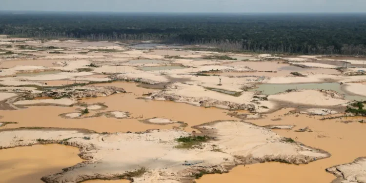 Emmanuel Macron elogia Lula pela defesa da Amazônia