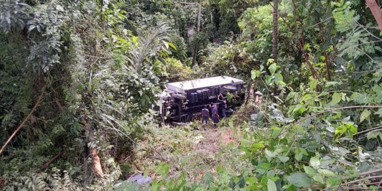 Caminhão cai em área de mata no Distrito Industrial